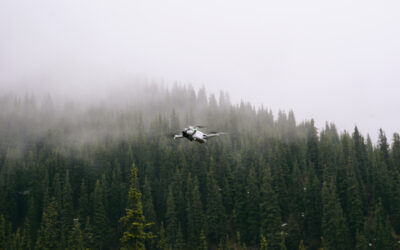 Myths vs. Fact: Autonomous Weapons and the Global Effort to Control Them